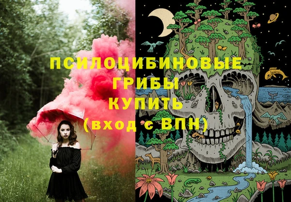 гашик Заволжье